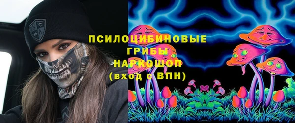 дживик Аркадак