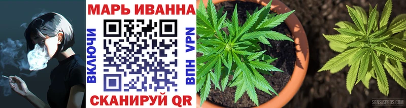 Марихуана сатива  Велиж 